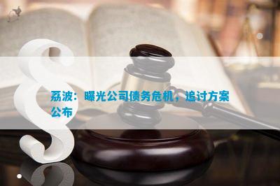 光公司债务危机追讨方案公布凯发K8国际娱乐荔波：曝